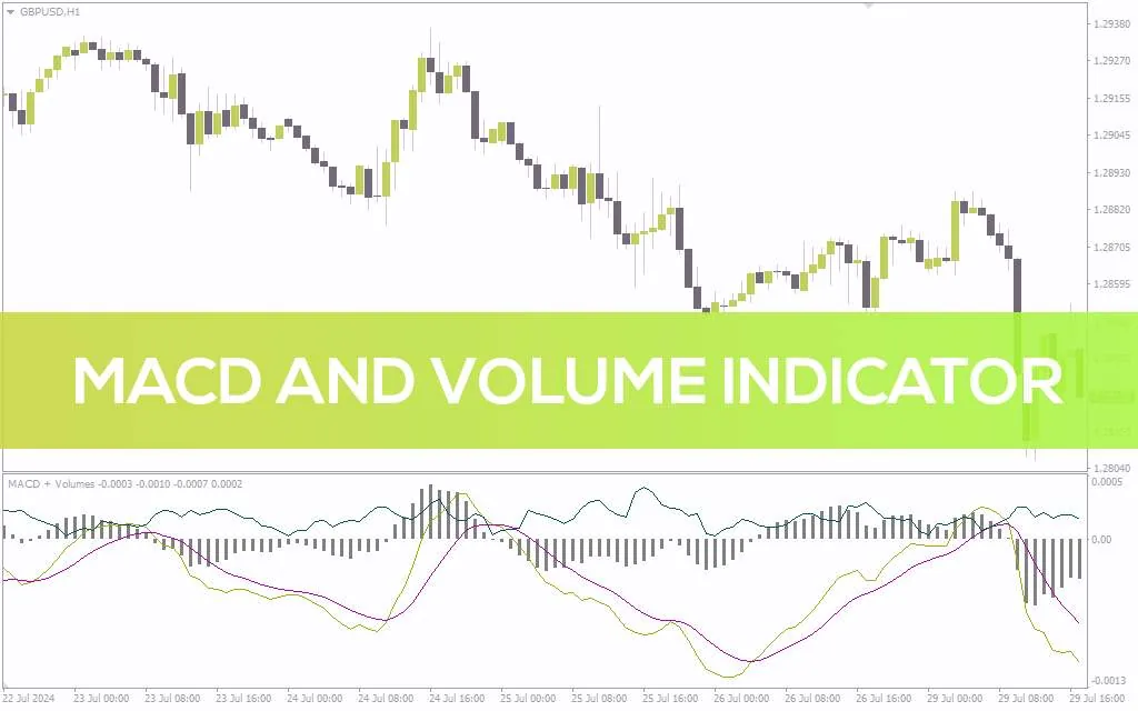 تأیید سیگنال های MACD با حجم معاملات در اندیکاتور MACD and Volume برای MT4